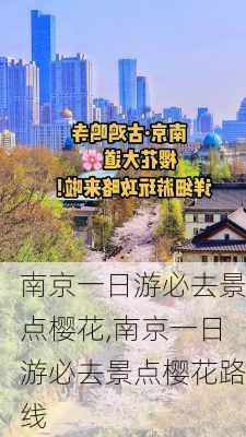 南京一日游必去景点樱花,南京一日游必去景点樱花路线