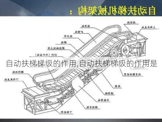 自动扶梯梯级的作用,自动扶梯梯级的作用是