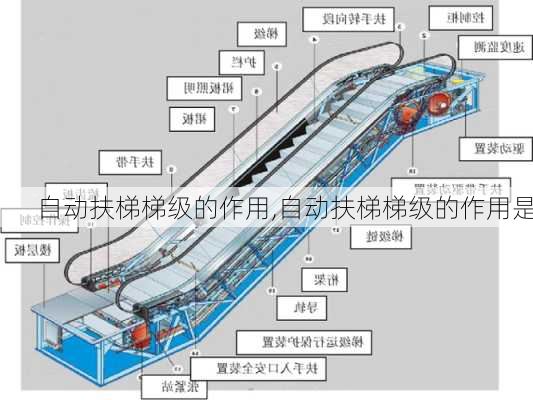 自动扶梯梯级的作用,自动扶梯梯级的作用是