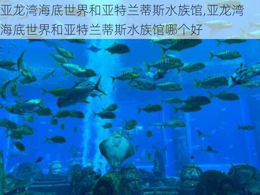 亚龙湾海底世界和亚特兰蒂斯水族馆,亚龙湾海底世界和亚特兰蒂斯水族馆哪个好