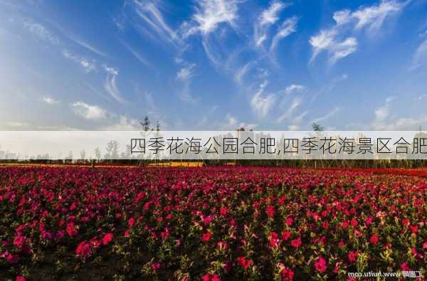 四季花海公园合肥,四季花海景区合肥