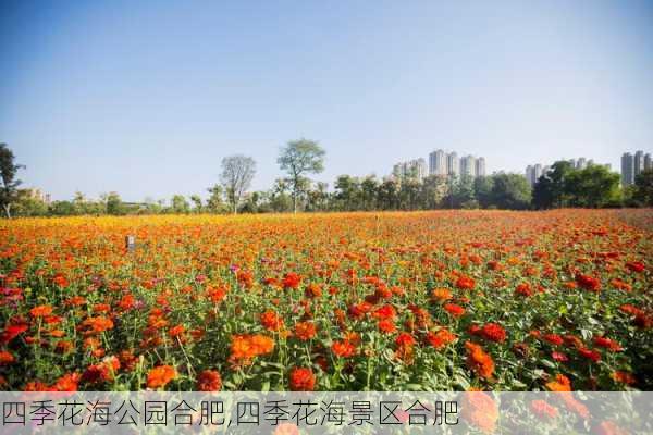 四季花海公园合肥,四季花海景区合肥