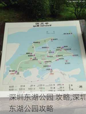 深圳东湖公园 攻略,深圳东湖公园攻略