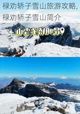 禄劝轿子雪山旅游攻略,禄劝轿子雪山简介