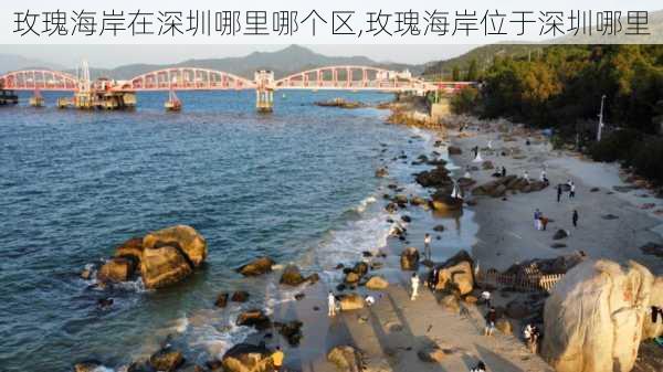 玫瑰海岸在深圳哪里哪个区,玫瑰海岸位于深圳哪里