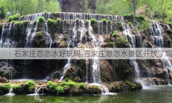 石家庄忽忽水好玩吗,石家庄忽忽水景区开放了吗