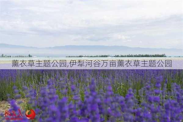 薰衣草主题公园,伊犁河谷万亩薰衣草主题公园