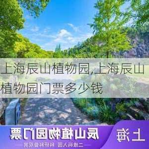 上海辰山植物园,上海辰山植物园门票多少钱