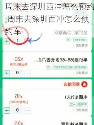 周末去深圳西冲怎么预约,周末去深圳西冲怎么预约车