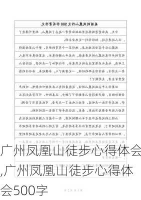 广州凤凰山徒步心得体会,广州凤凰山徒步心得体会500字