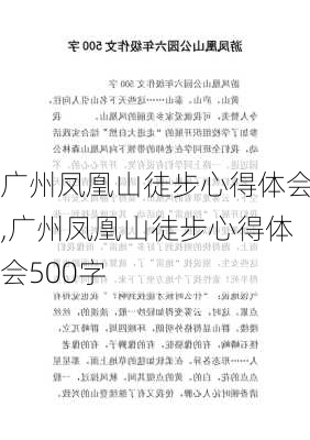 广州凤凰山徒步心得体会,广州凤凰山徒步心得体会500字