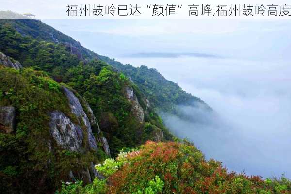 福州鼓岭已达“颜值”高峰,福州鼓岭高度