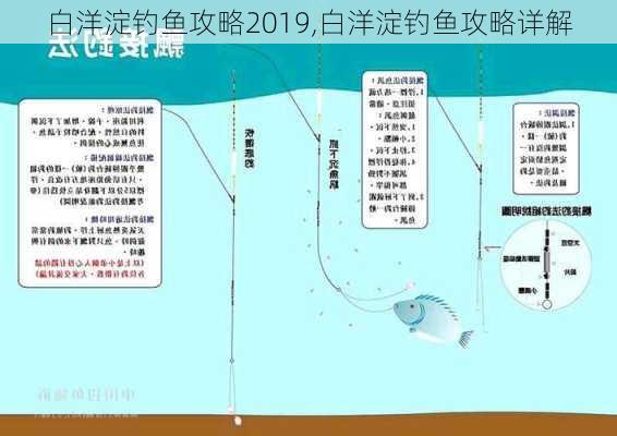 白洋淀钓鱼攻略2019,白洋淀钓鱼攻略详解