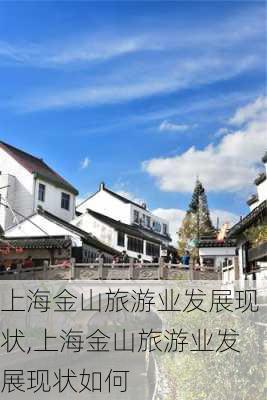 上海金山旅游业发展现状,上海金山旅游业发展现状如何