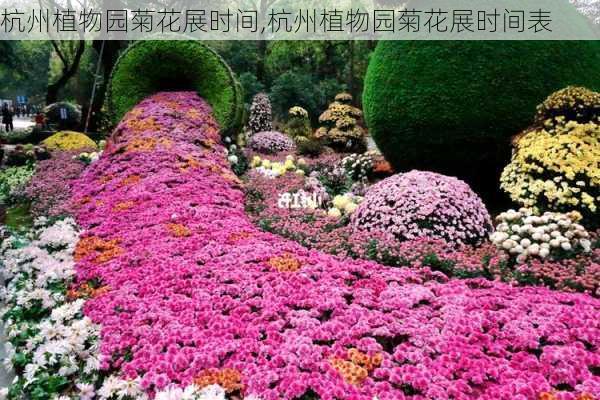 杭州植物园菊花展时间,杭州植物园菊花展时间表