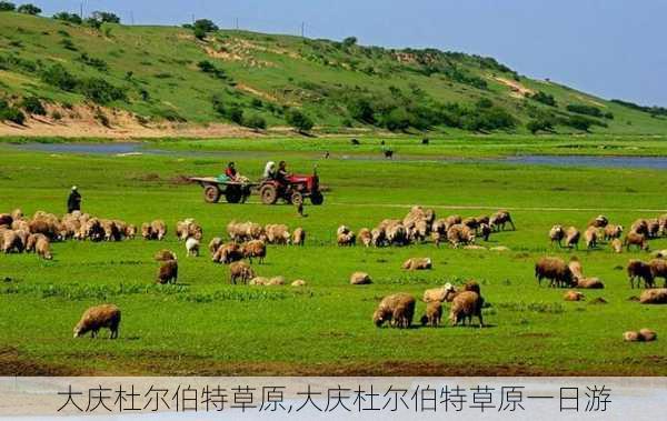 大庆杜尔伯特草原,大庆杜尔伯特草原一日游