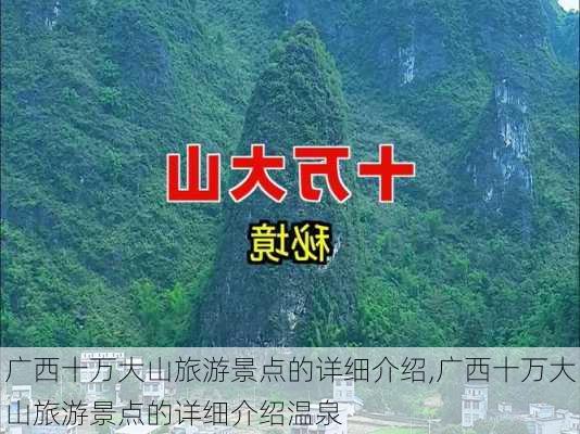 广西十万大山旅游景点的详细介绍,广西十万大山旅游景点的详细介绍温泉