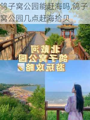 鸽子窝公园能赶海吗,鸽子窝公园几点赶海拾贝