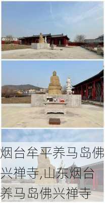 烟台牟平养马岛佛兴禅寺,山东烟台养马岛佛兴禅寺