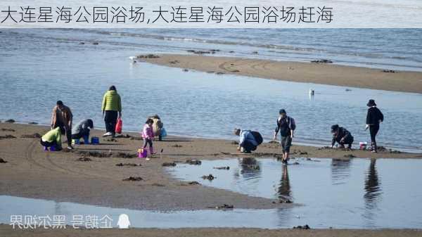 大连星海公园浴场,大连星海公园浴场赶海