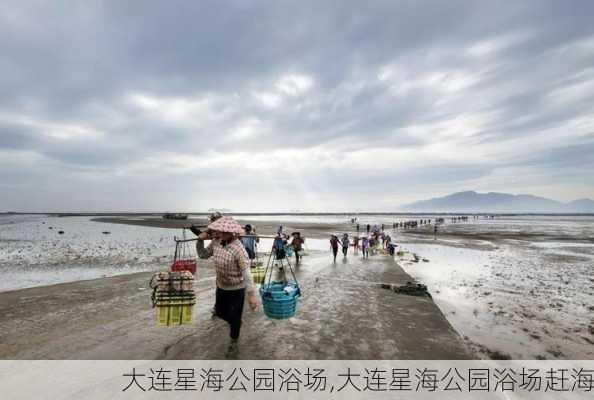 大连星海公园浴场,大连星海公园浴场赶海