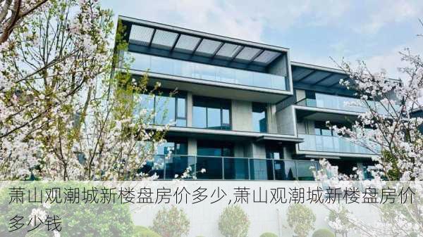 萧山观潮城新楼盘房价多少,萧山观潮城新楼盘房价多少钱