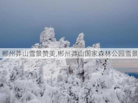 郴州莽山雪景赞美,郴州莽山国家森林公园雪景