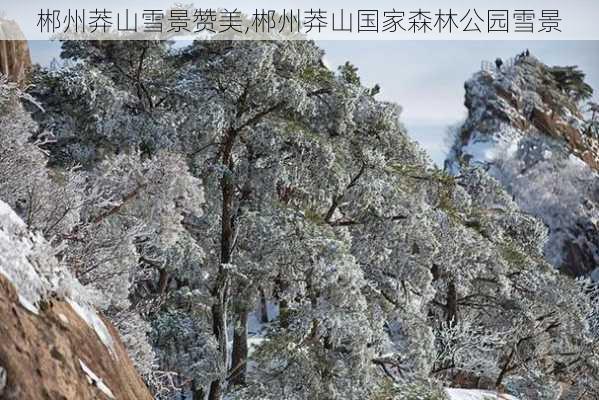 郴州莽山雪景赞美,郴州莽山国家森林公园雪景