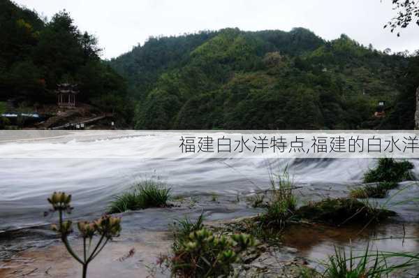 福建白水洋特点,福建的白水洋