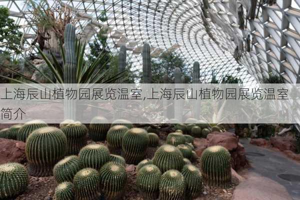 上海辰山植物园展览温室,上海辰山植物园展览温室简介