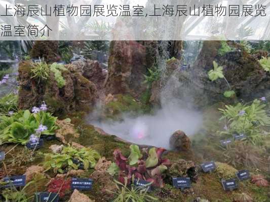 上海辰山植物园展览温室,上海辰山植物园展览温室简介