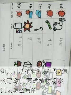 幼儿园动植物观察记录怎么写,幼儿园动植物观察记录怎么写的