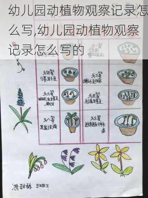 幼儿园动植物观察记录怎么写,幼儿园动植物观察记录怎么写的