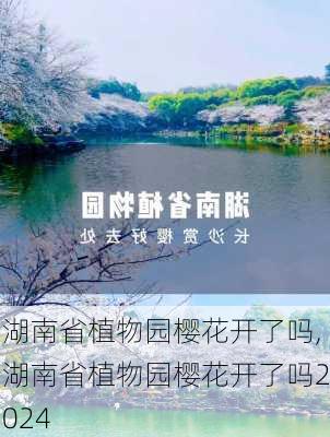 湖南省植物园樱花开了吗,湖南省植物园樱花开了吗2024