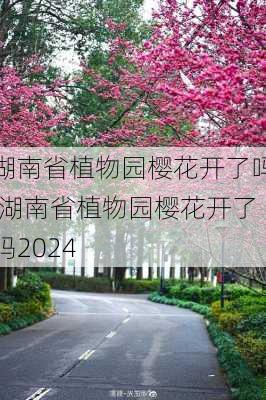 湖南省植物园樱花开了吗,湖南省植物园樱花开了吗2024