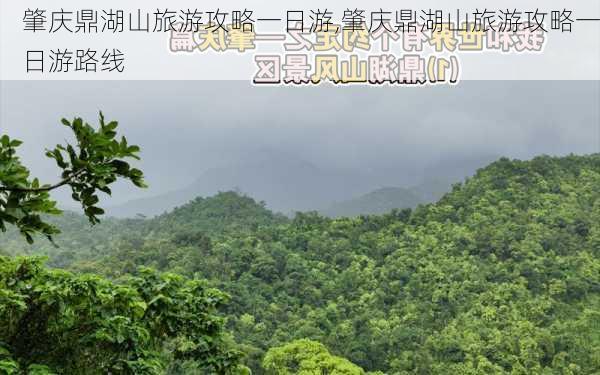 肇庆鼎湖山旅游攻略一日游,肇庆鼎湖山旅游攻略一日游路线