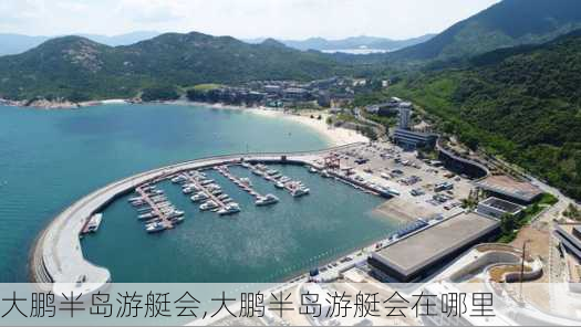 大鹏半岛游艇会,大鹏半岛游艇会在哪里