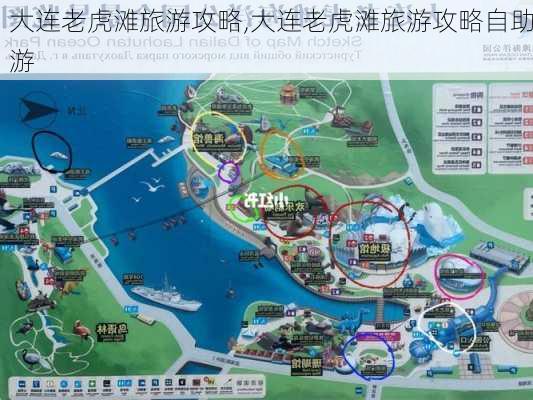 大连老虎滩旅游攻略,大连老虎滩旅游攻略自助游