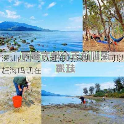 深圳西冲可以赶海吗,深圳西冲可以赶海吗现在