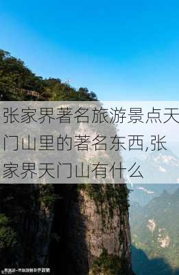 张家界著名旅游景点天门山里的著名东西,张家界天门山有什么