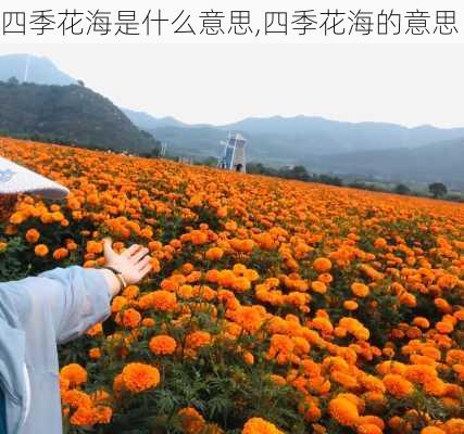 四季花海是什么意思,四季花海的意思