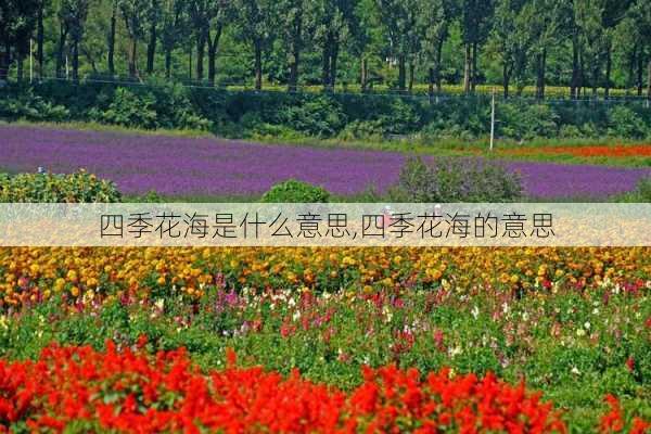 四季花海是什么意思,四季花海的意思