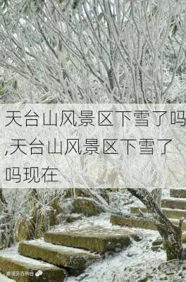 天台山风景区下雪了吗,天台山风景区下雪了吗现在