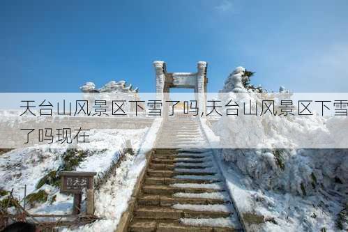 天台山风景区下雪了吗,天台山风景区下雪了吗现在