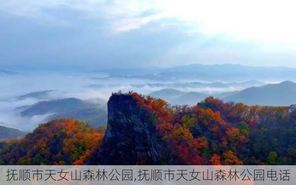 抚顺市天女山森林公园,抚顺市天女山森林公园电话