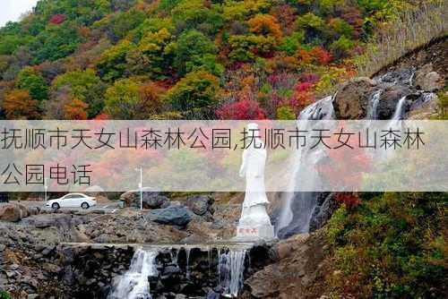 抚顺市天女山森林公园,抚顺市天女山森林公园电话