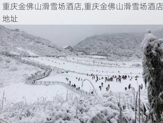 重庆金佛山滑雪场酒店,重庆金佛山滑雪场酒店地址