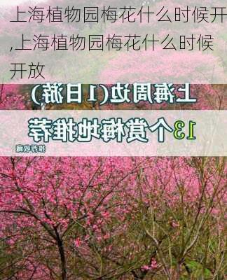 上海植物园梅花什么时候开,上海植物园梅花什么时候开放