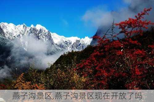 燕子沟景区,燕子沟景区现在开放了吗