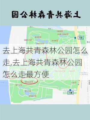 去上海共青森林公园怎么走,去上海共青森林公园怎么走最方便